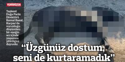 “Üzgünüz dostum, seni de kurtaramadık”