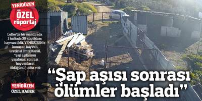 “Şap aşısı sonrası ölümler başladı”