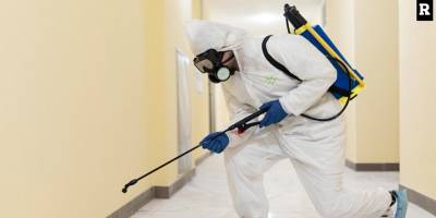 Tahta Kurusu İlaçlama Firması Açıklıyor: Kalıcı Çözüm Nasıl Sağlanır?