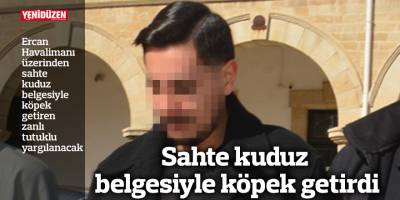Sahte kuduz belgesiyle köpek getirdi