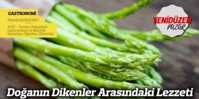 Doğanın Dikenler Arasındaki Lezzeti