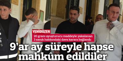 9’ar ay süreyle hapse mahkûm edildiler