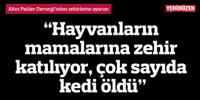“Hayvanların mamalarına zehir katılıyor, çok sayıda kedi öldü”