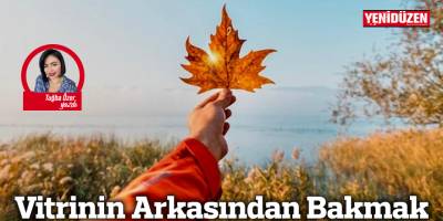 Vitrinin Arkasından Bakmak