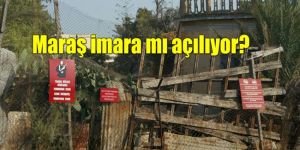 Kıbrıs’ı hareketlendiren iddia