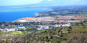 Lefke Ceviz Festivali