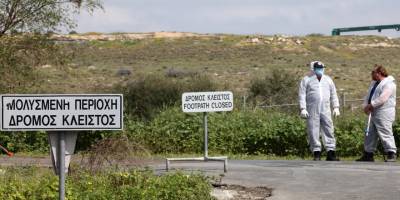 Şap hastalığı: Pergama'da 11 hayvancılık işletmesinin faaliyeti durduruldu