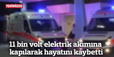 11 bin volt elektrik akımına kapılarak hayatını kaybetti