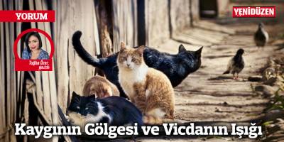 Kaygının Gölgesi ve Vicdanın Işığı