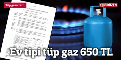 Ev tipi tüp gaz 650 TL