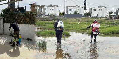 Gazimağusa Belediyesi kent genelinde sivrisinekle mücadeleye devam ediyor