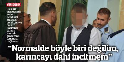 “Normalde böyle biri değilim, karıncayı dahi incitmem”