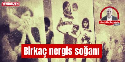 Birkaç nergis soğanı