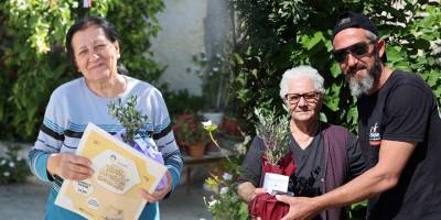 İskele Belediyesi annelere, saksıda zeytin ağacı ağmağan etti