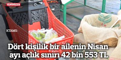 KTAMS: Dört kişilik bir ailenin Nisan ayı açlık sınırı 42 bin 553 TL