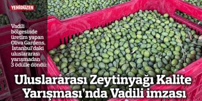 Uluslararası Zeytinyağı Kalite Yarışması’nda Vadili imzası