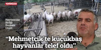 "Mehmetçik'te küçükbaş hayvanlar telef oldu"