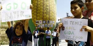 Yeniboğaziçi, Denetimsiz gıdaya HAYIR dedi