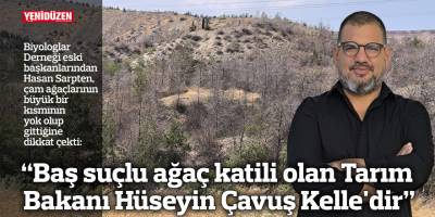 “Baş suçlu ağaç katili olan Tarım Bakanı Hüseyin Çavuş Kelle'dir”