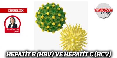 HEPATİT B (HBV) VE HEPATİT C (HCV)