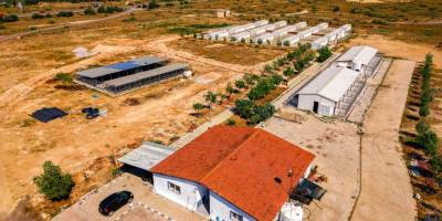 Gazimağusa Belediyesi, son beş yılda 600’ü aşkın hayvanı kısırlaştırdı