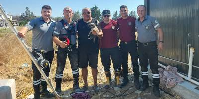 Güzelyurt'ta kuyuda mahsur kalan yavru köpek kurtarıldı
