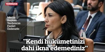 "Kendi hükümetinizi dahi ikna edemediniz”