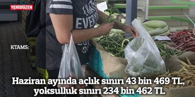 KTAMS: Haziran ayında açlık sınırı 43 bin 469 TL, yoksulluk sınırı 234 bin 462 TL