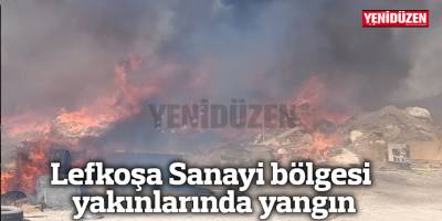 Lefkoşa Sanayi bölgesi yakınlarında yangın