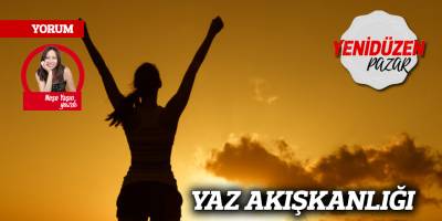 YAZ AKIŞKANLIĞI