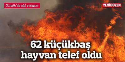 Güngör'de ağıl yangını: 62 küçükbaş hayvan telef oldu