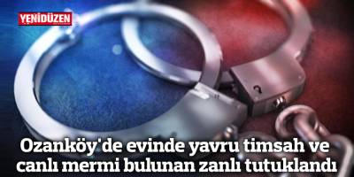 Ozanköy'de evinde yavru timsah ve canlı mermi bulunan zanlı tutuklandı