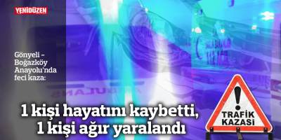 İki yayaya araba çarptı, 1 kişi hayatını kaybetti, 1 kişi ağır yaralandı