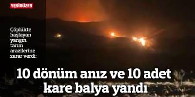 10 dönüm anız ve 10 adet kare balya yandı