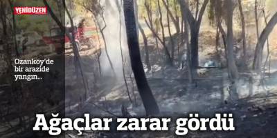Ozanköy’de bir arazide yangın...  Ağaçlar zarar gördü