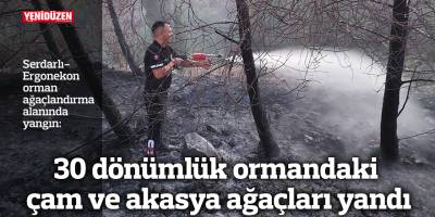 30 dönümlük ormandaki çam ve akasya ağaçları yandı