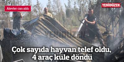 Alevler can aldı:  Çok sayıda hayvan telef oldu, 4 araç küle döndü