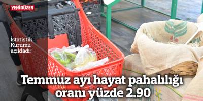 Temmuz ayı hayat pahalılığı oranı yüzde 2.90
