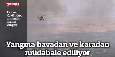 Yangına havadan ve karadan müdahale ediliyor