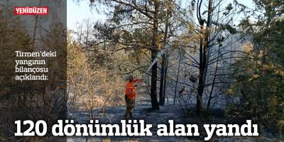 120 dönümlük alan yandı