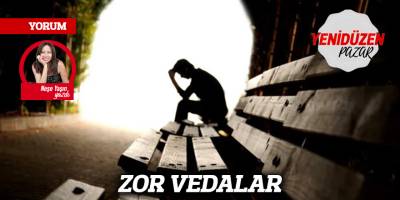 ZOR VEDALAR
