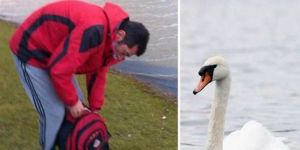 Kraliçe’nin kuğusunu yedi