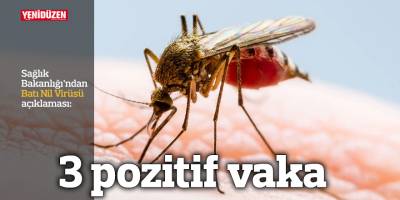 Sağlık Bakanlığı: “3 hastada Batı Nil virüsü testi pozitif çıktı”