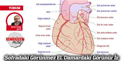 Sofradaki Görünmez El, Damardaki Görünür İz