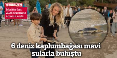 6 deniz kaplumbağası mavi sularla buluştu