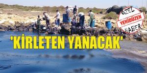 Çevreye anayasal koruma