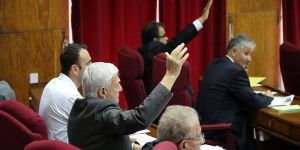 Halkoylaması Yasa Tasarısı onaylandı