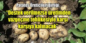 Patates üretimi tehlikede