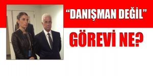 Saraydan danışman yalanlaması