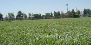 Baf tesislerini koruyor